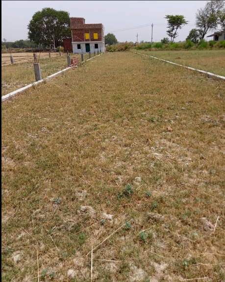 Residencial Land in Sindhora Road