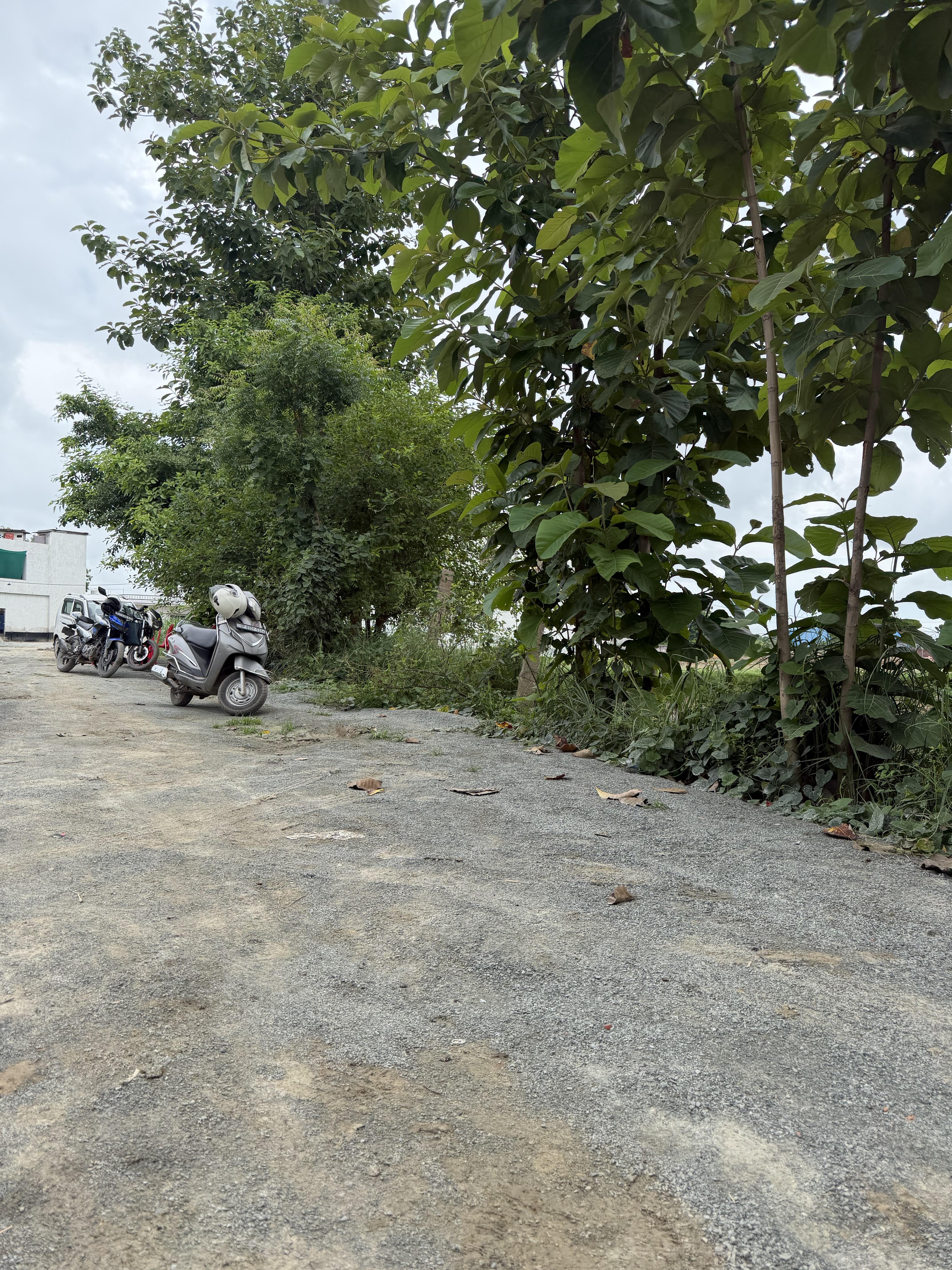 Plot in Mohansrai