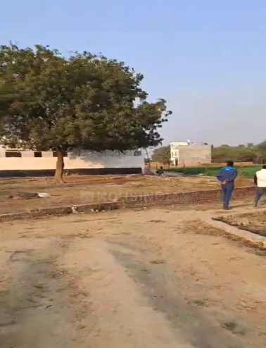 Plot in Katesar