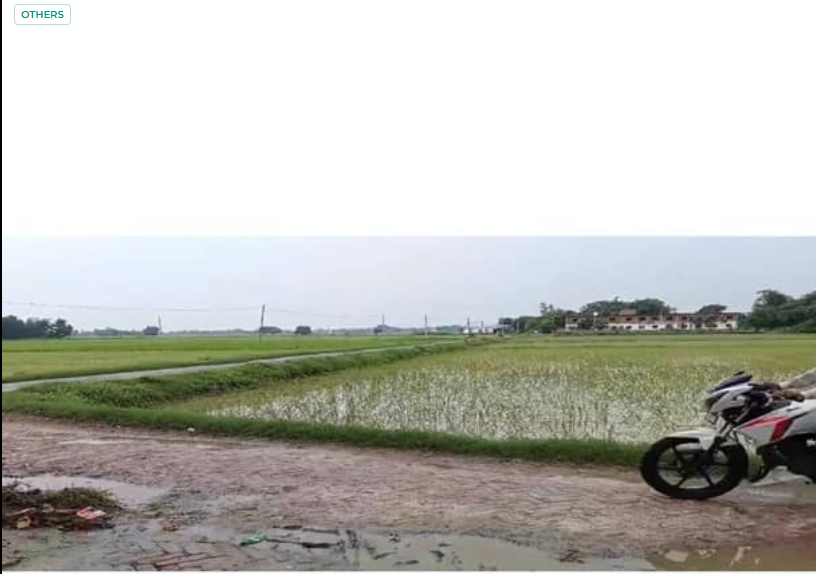 9 Biswa1 Plot For Sale in Sindhora, Varanasi