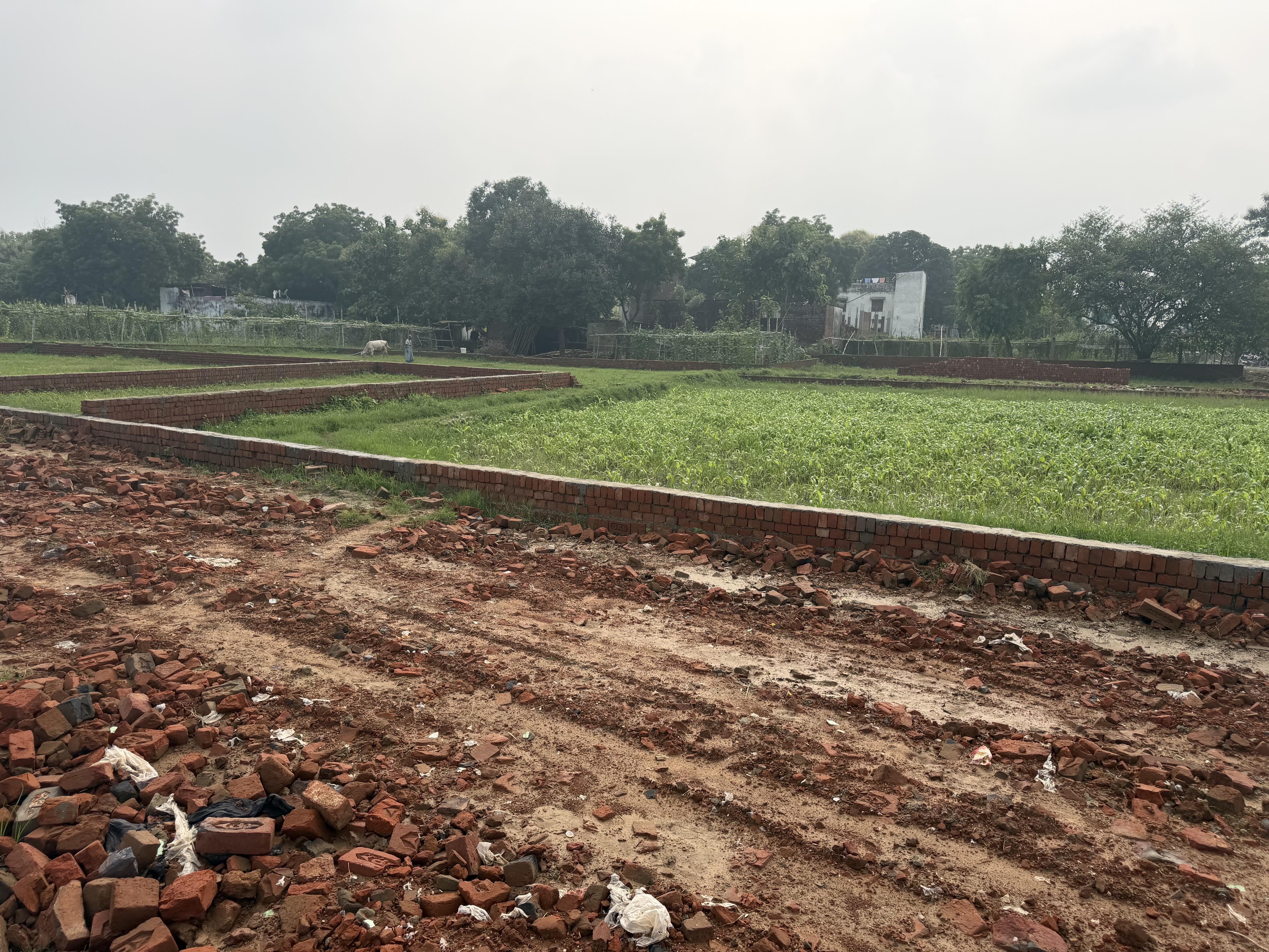 Plot in Rohaniya