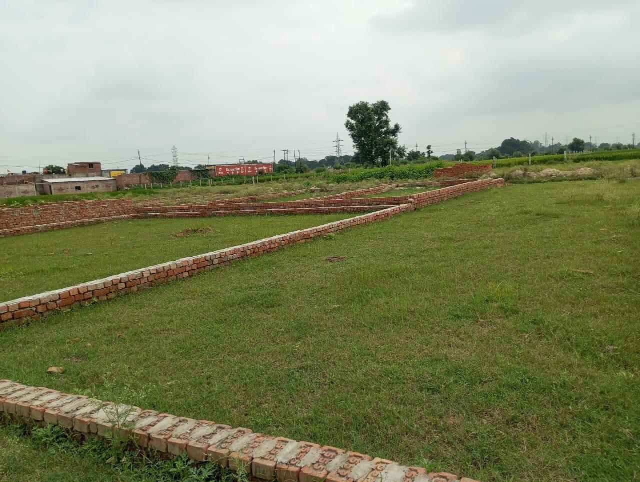 Plot in Mirzamurad
