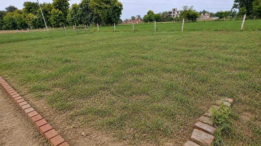 Plot in Umraha